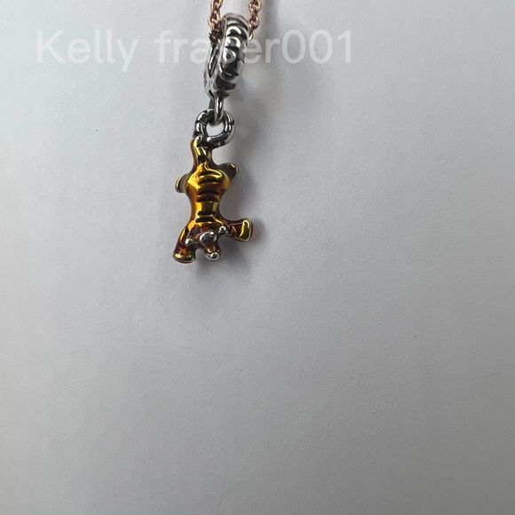 Pandora Charms - Picture 3 of 6